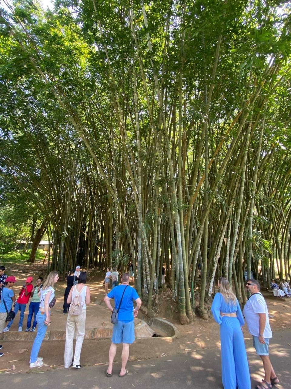 Шри-Ланка | 31.01 — 10.02.2025. Галерея Фантим