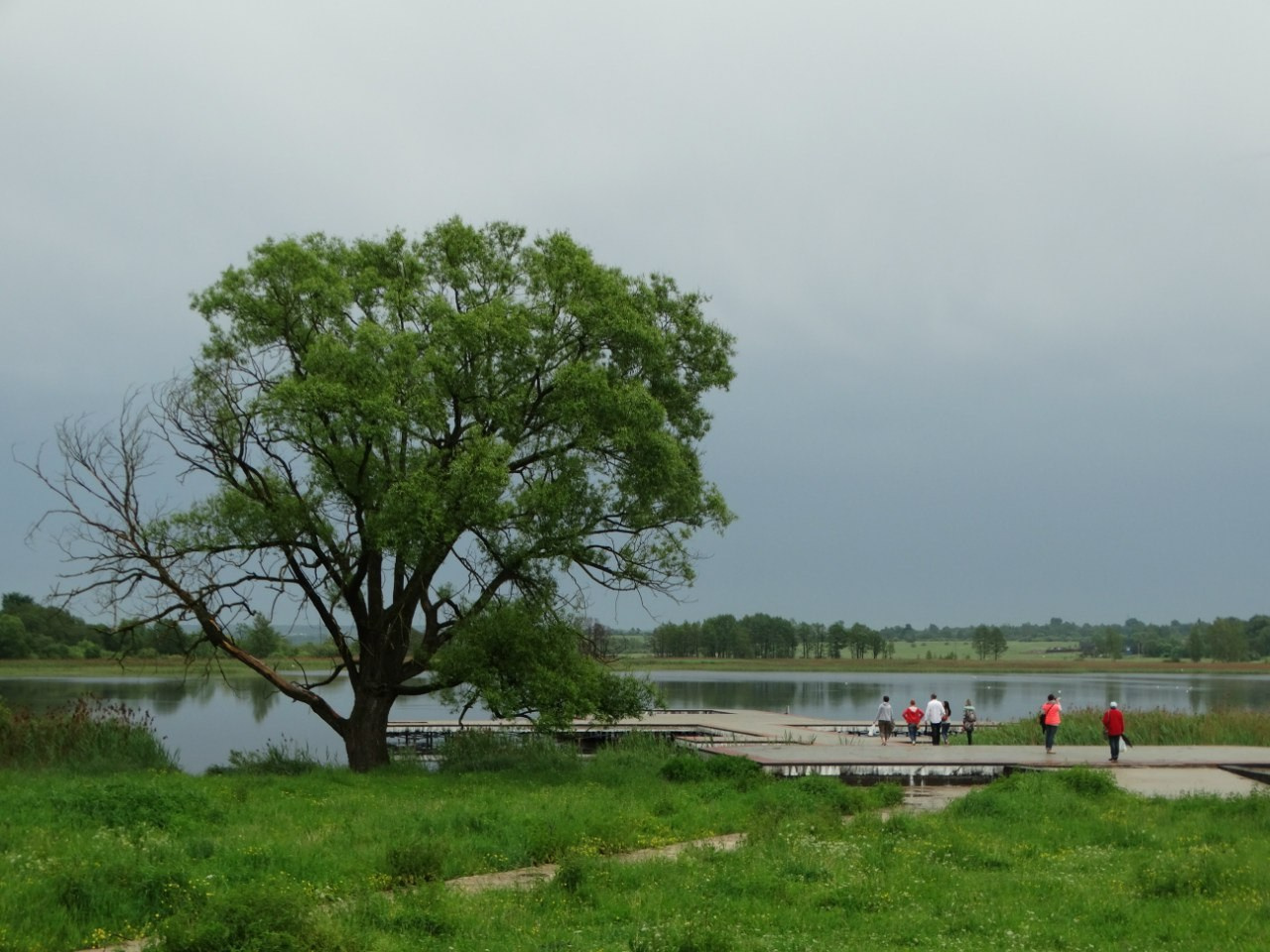 Волоколамск | 04.06.2016 г. Галерея Фантим