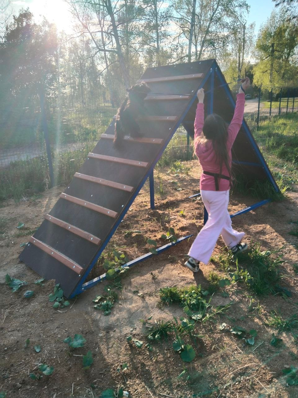 Практические занятия по дрессировке. НРОО КЦ "Собаковод"