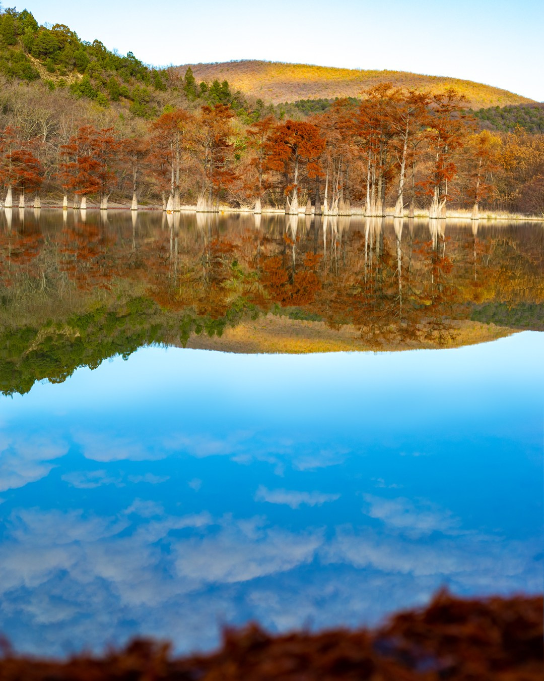 Портфолио. Фотограф Севастополь/Крым Светлана Евтушенко