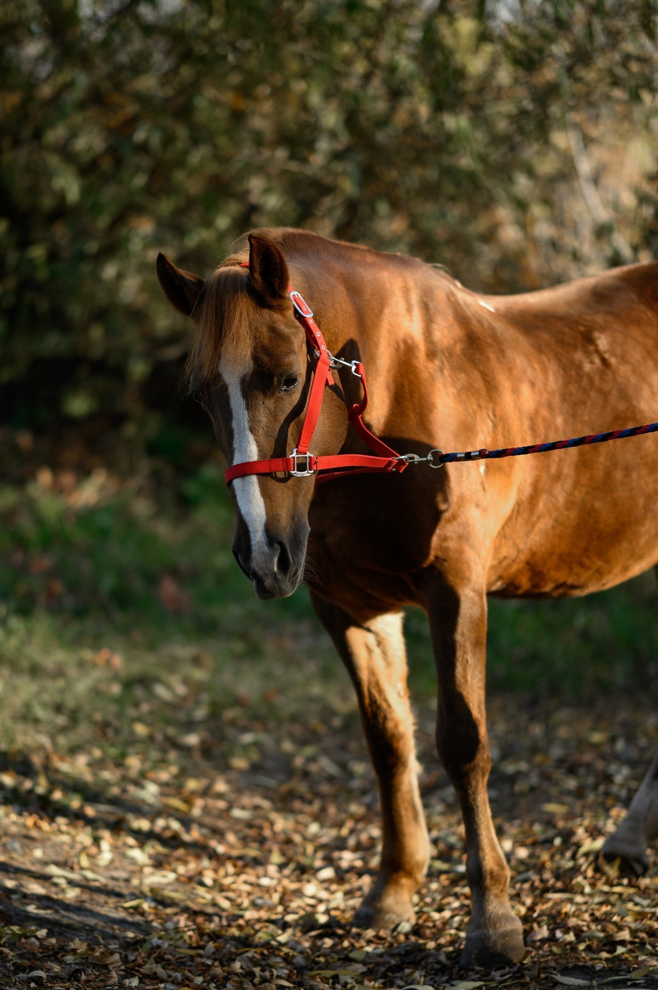 Отзывы от клиентов. Фотограф в Липецке Ковалько Евгений