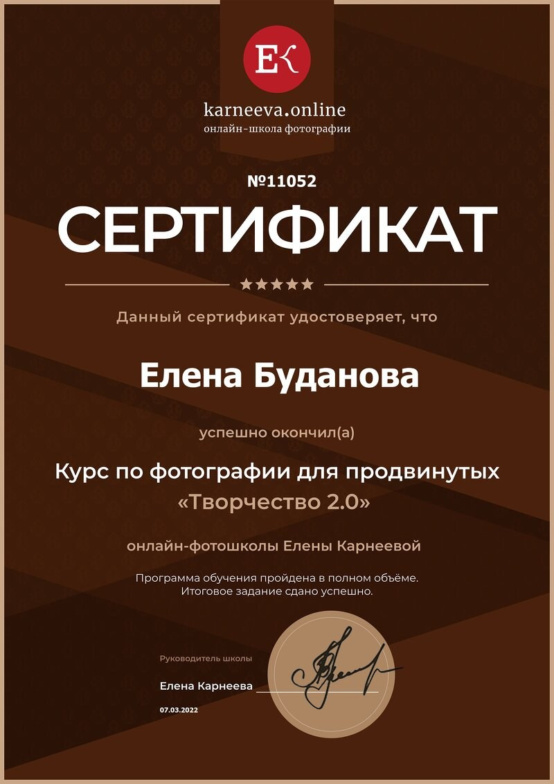 Сертификаты. Фотограф Елена Буданова Тверь