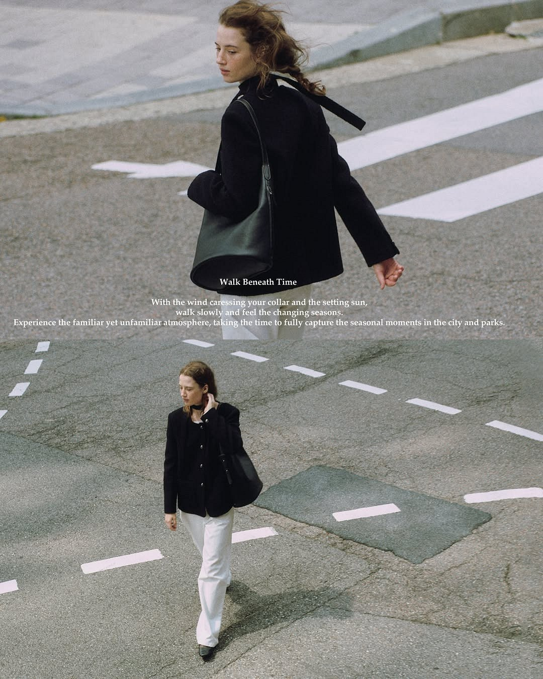 Ariana. Axis model management
