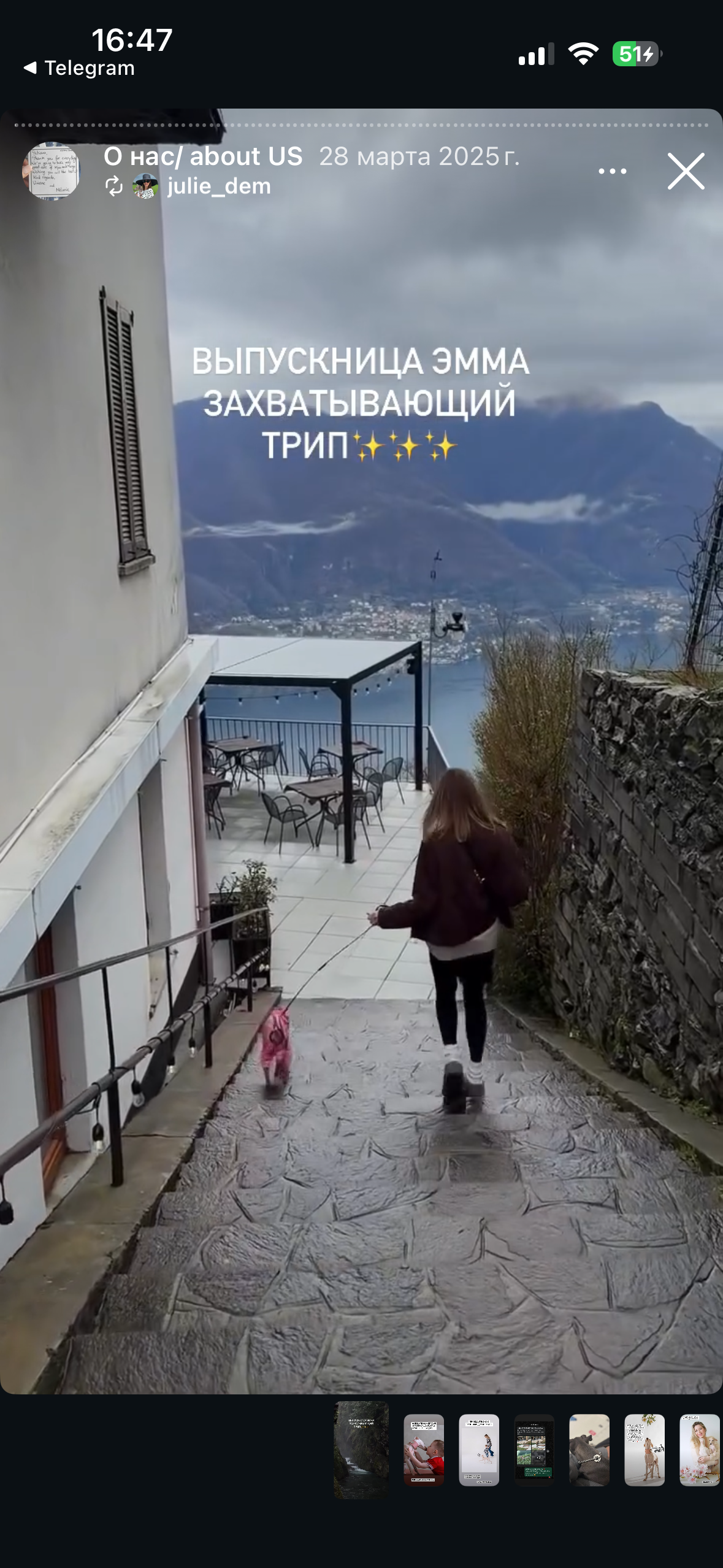 Отзывы от наших любимых владельцев. Профессиональный питомник левреток РКФ/FCI ASTI SAPPHIRE 💎 Сочи|Санкт-Петербург