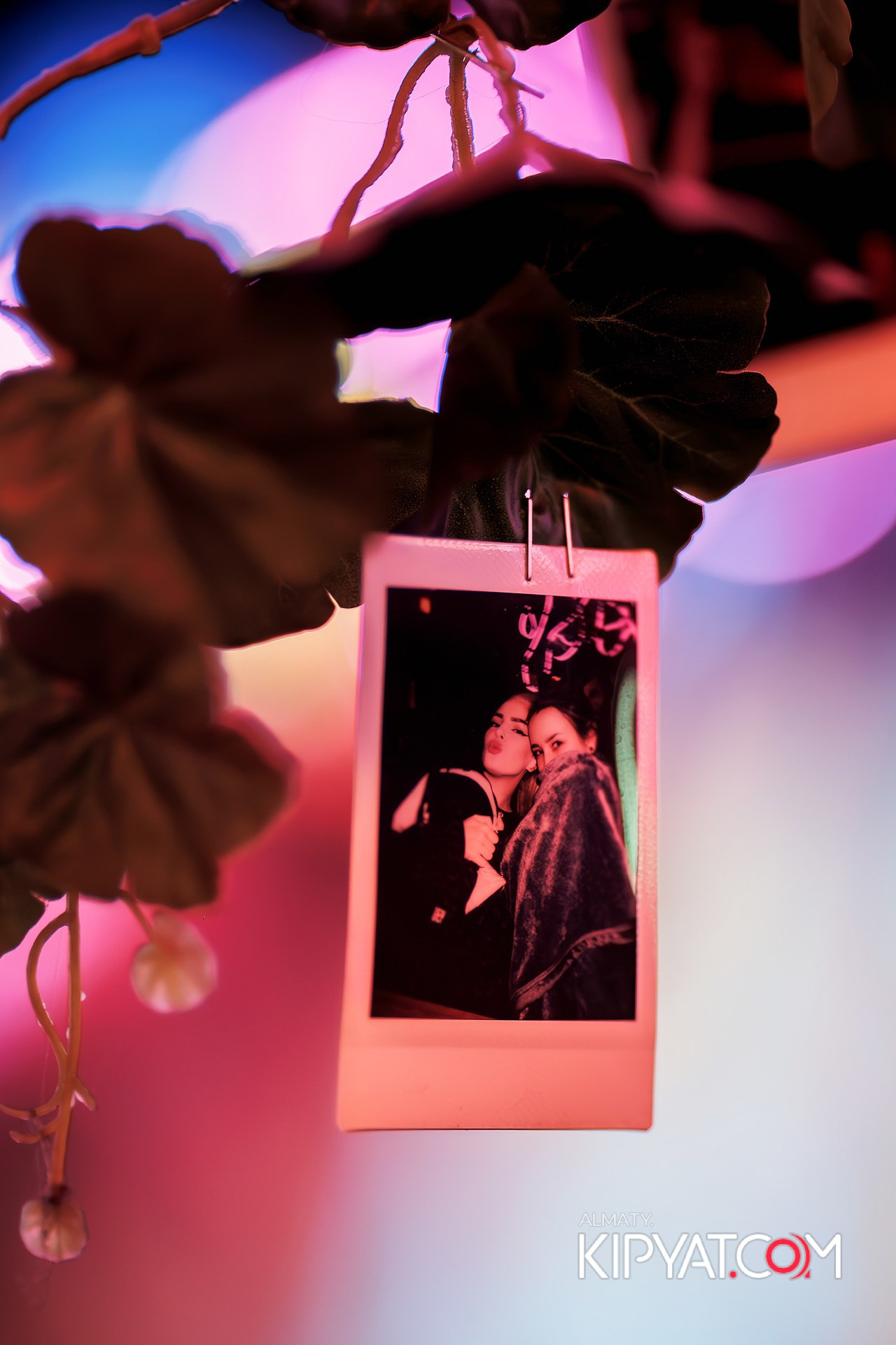 VICTORY MEXICAN AND WILD. КИПЯТКОМ АЛМАТЫ!