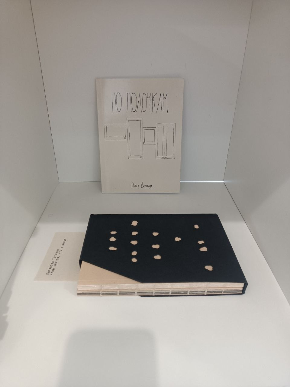 «Жердёла», зин-фестиваль, 26.07-04.08.2024, арт-пространство «Кислород», Ставрополь. Лера Круглова