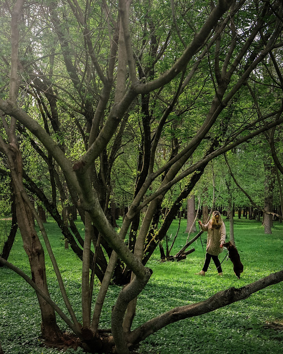 Мария и Брасс. Фотограф анималист в Москве и Санкт-Петербурге Свиридова Анна
