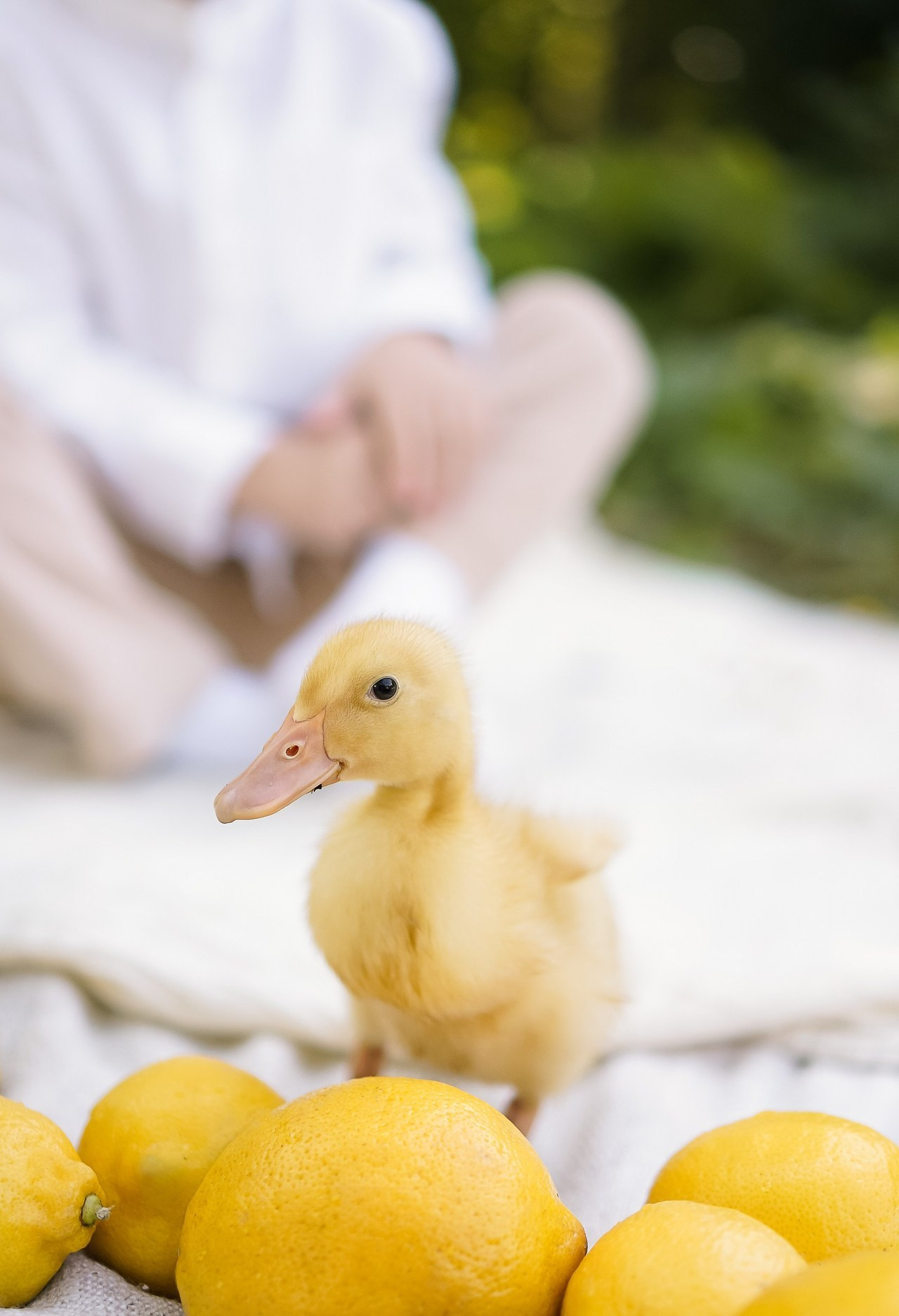 Отзывы. Семейный фотограф в Москве Коровушкина Наталья. Съемка контента