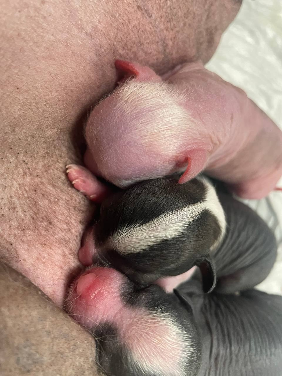 День Рождения