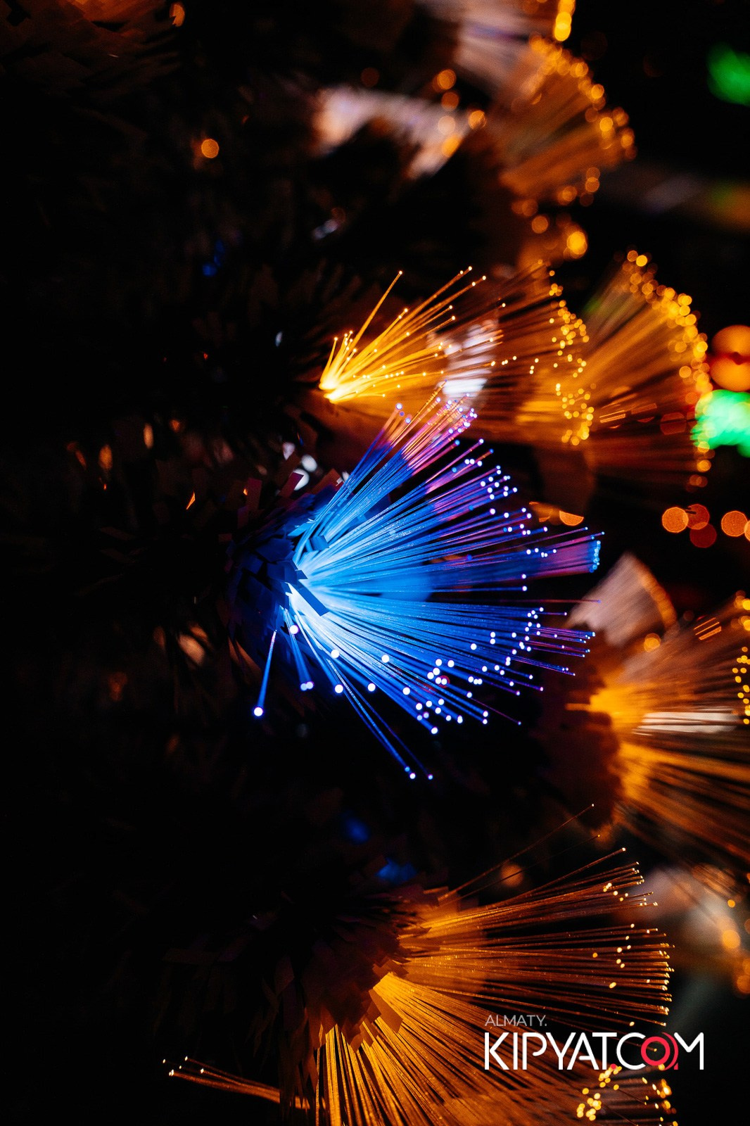 PICASSO BAR. КИПЯТКОМ АЛМАТЫ!