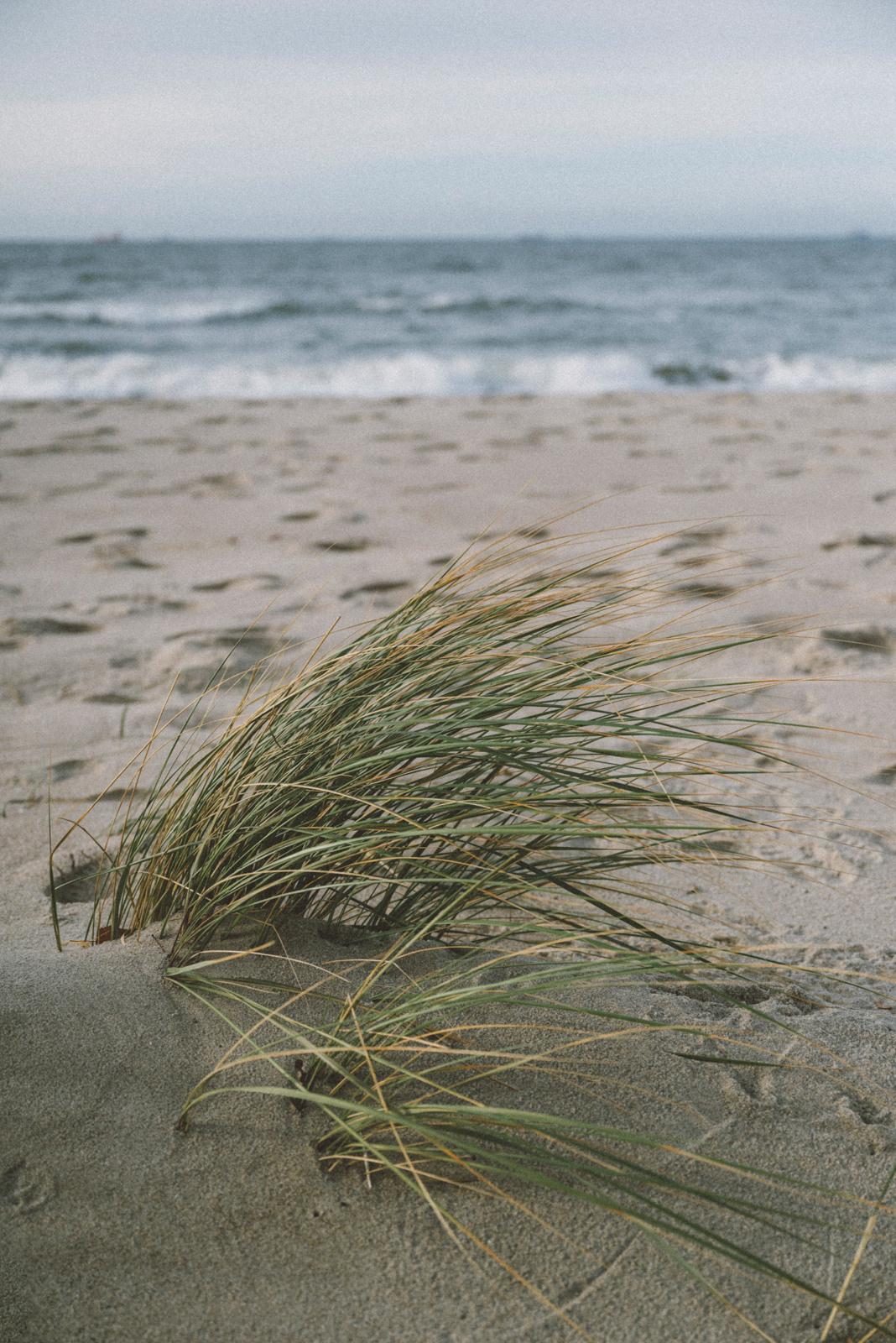 Сергей. Фотограф Калининград Ангелина Воробьева