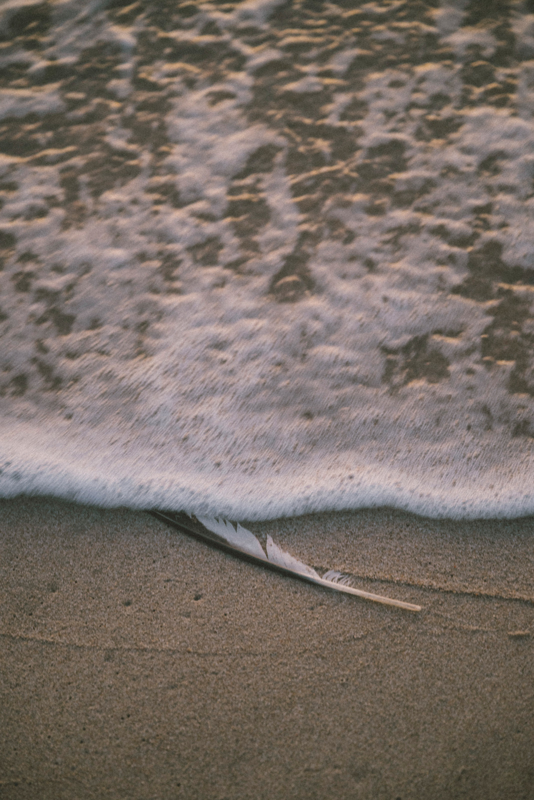 Сергей. Фотограф Калининград Ангелина Воробьева