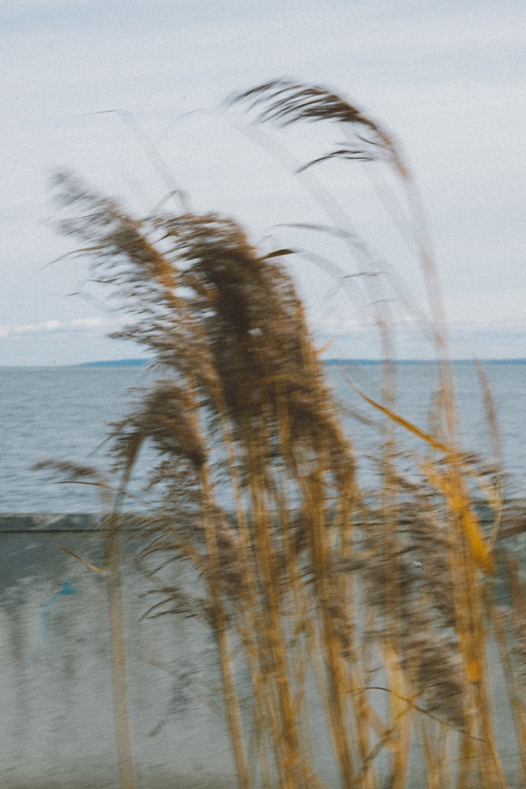 Сергей. Фотограф Калининград Ангелина Воробьева