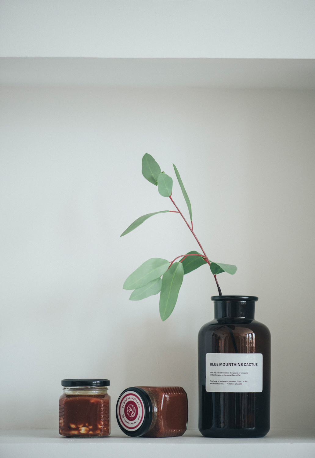 Розовая меренга. Фотограф Калининград Ангелина Воробьева