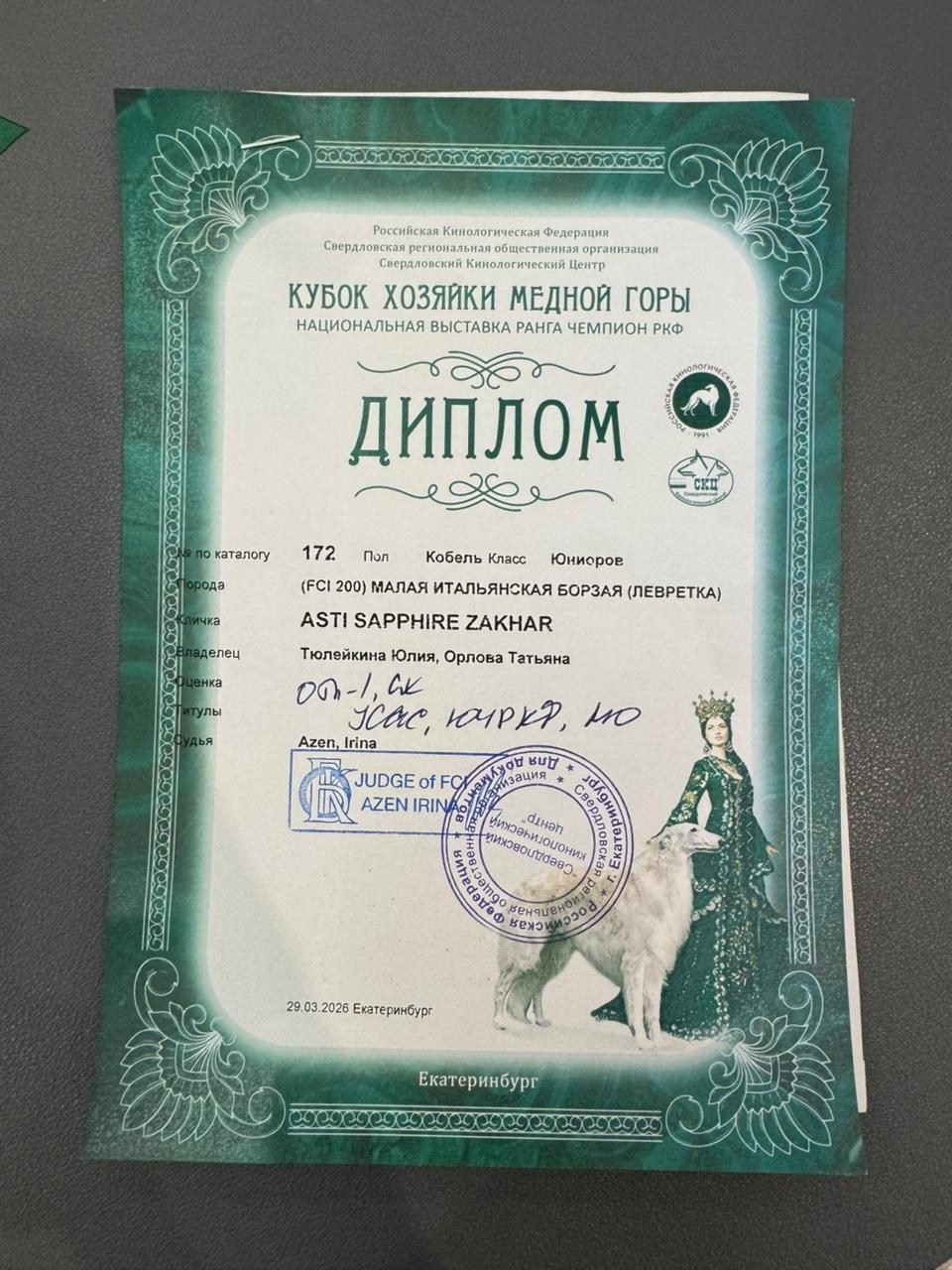 Выпускники ЧЕМПИОНЫ. Профессиональный питомник левреток РКФ/FCI ASTI SAPPHIRE 💎 Сочи|Санкт-Петербург