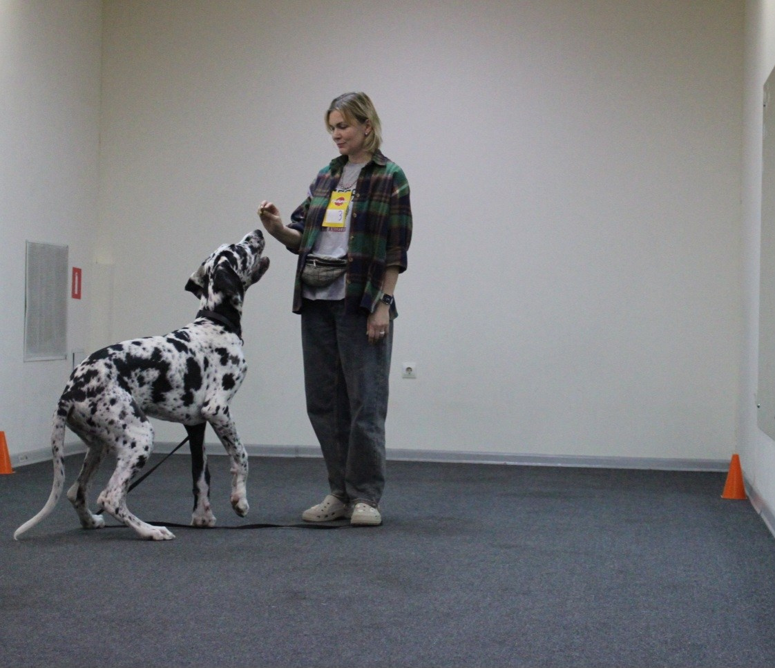 Репортаж УС «ДЦ Ральф». Катя Попова|ЛайфСтайл фотограф