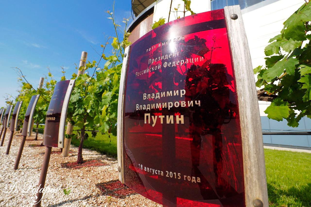 Крымская винодельня Alma Valley. Московский фотограф Дмитрий Потапов