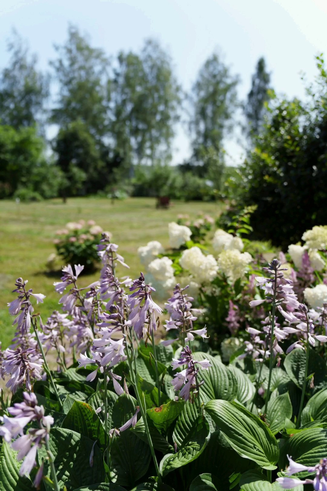 Сельский шик. Виктория Саханкова — портретный и семейный фотограф в Москве