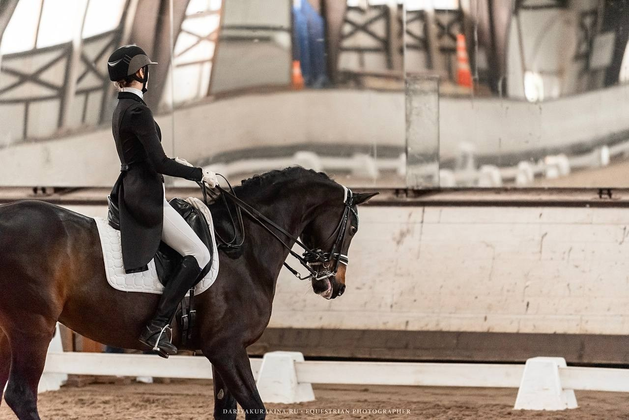 Муниципальные соревнования по выездке «Весенний Кубок КСК «Белая дача». Конный фотограф Куракина Дарья • Фотосессии с лошадьми