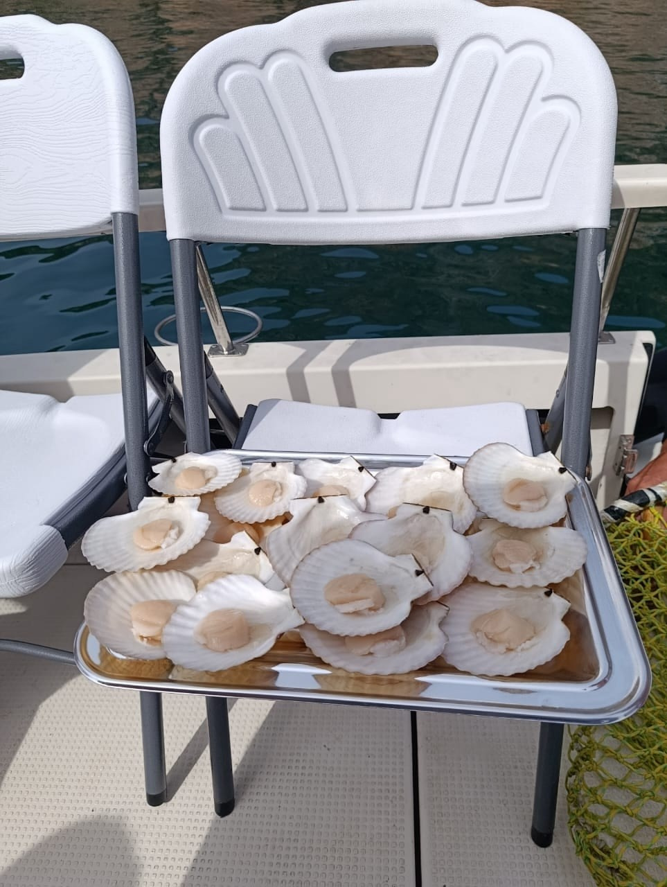 Владивосток 1 | 18-21.09.2025. Галерея Фантим