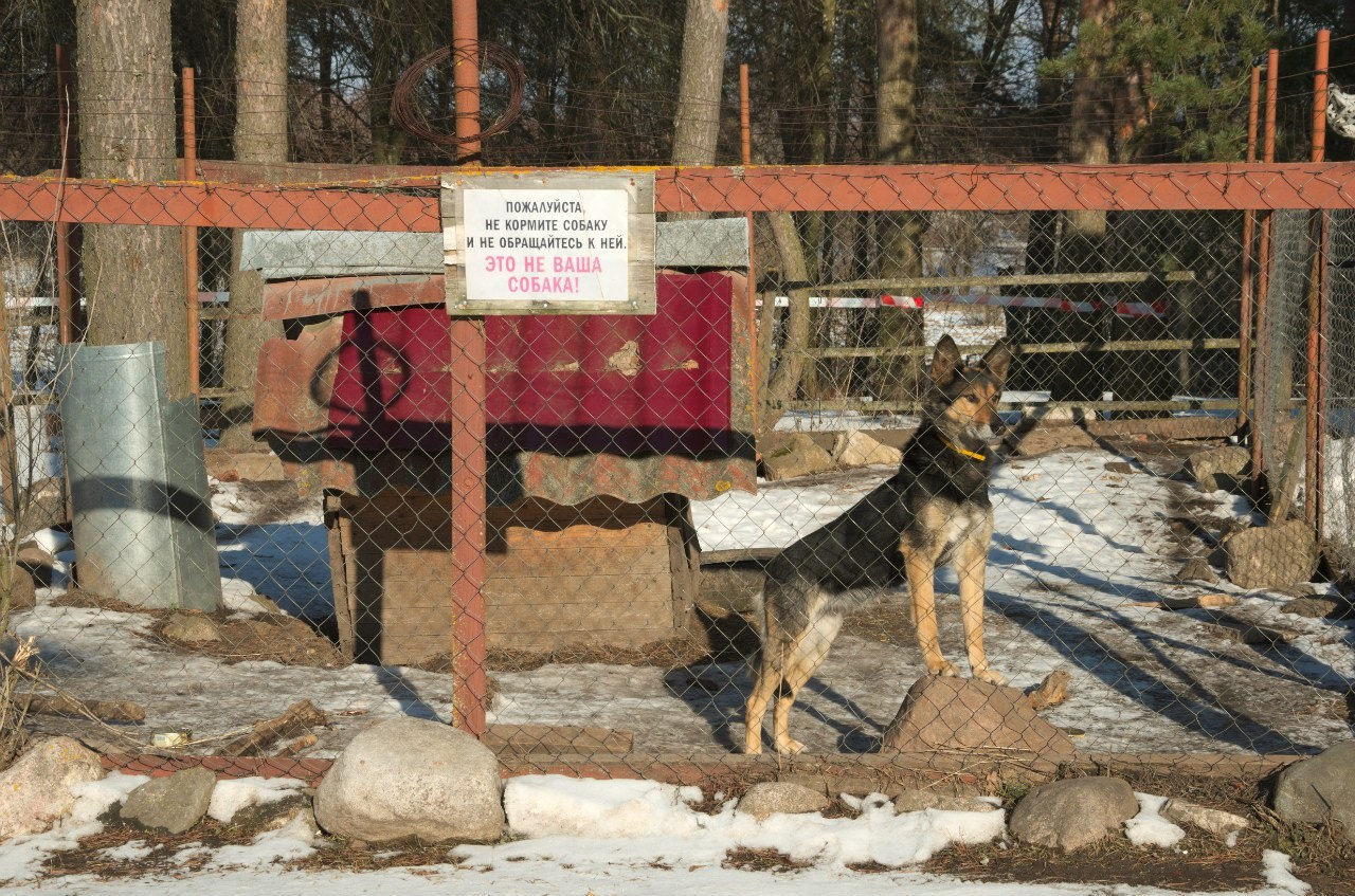 Великий Новгород | 27-28.02.2016. Галерея Фантим