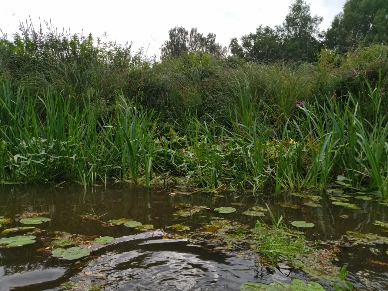 Сплав на байдарках 21.08.21. Галерея Фантим