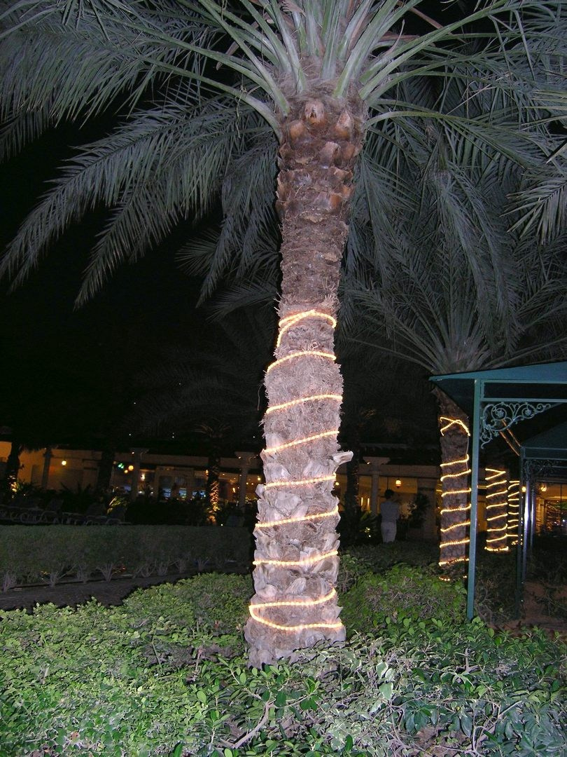 ОАЭ 2010. Улица, люди, жизнь…