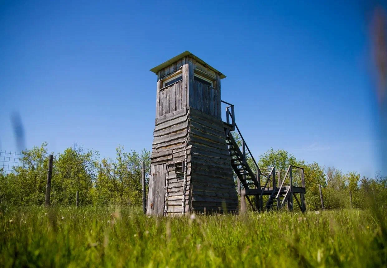 Сафари-парк «Кречет». Кинокомиссия Республики Мордовия
