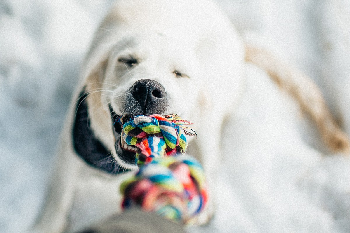 ШАНТИ и СЕМЬЯ. Свадебный и семейный фотограф РИТА БОЧКАРЁВА