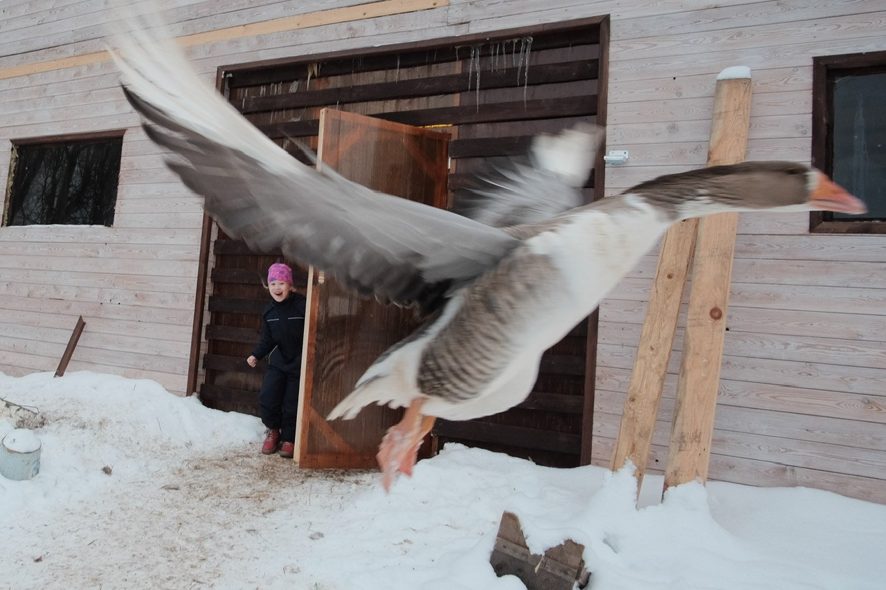 Последнее утро. Фотограф Евгений Андреев