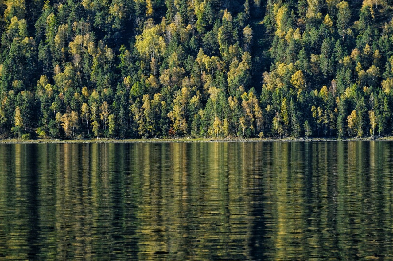Алтай. Фотограф Евгений Андреев