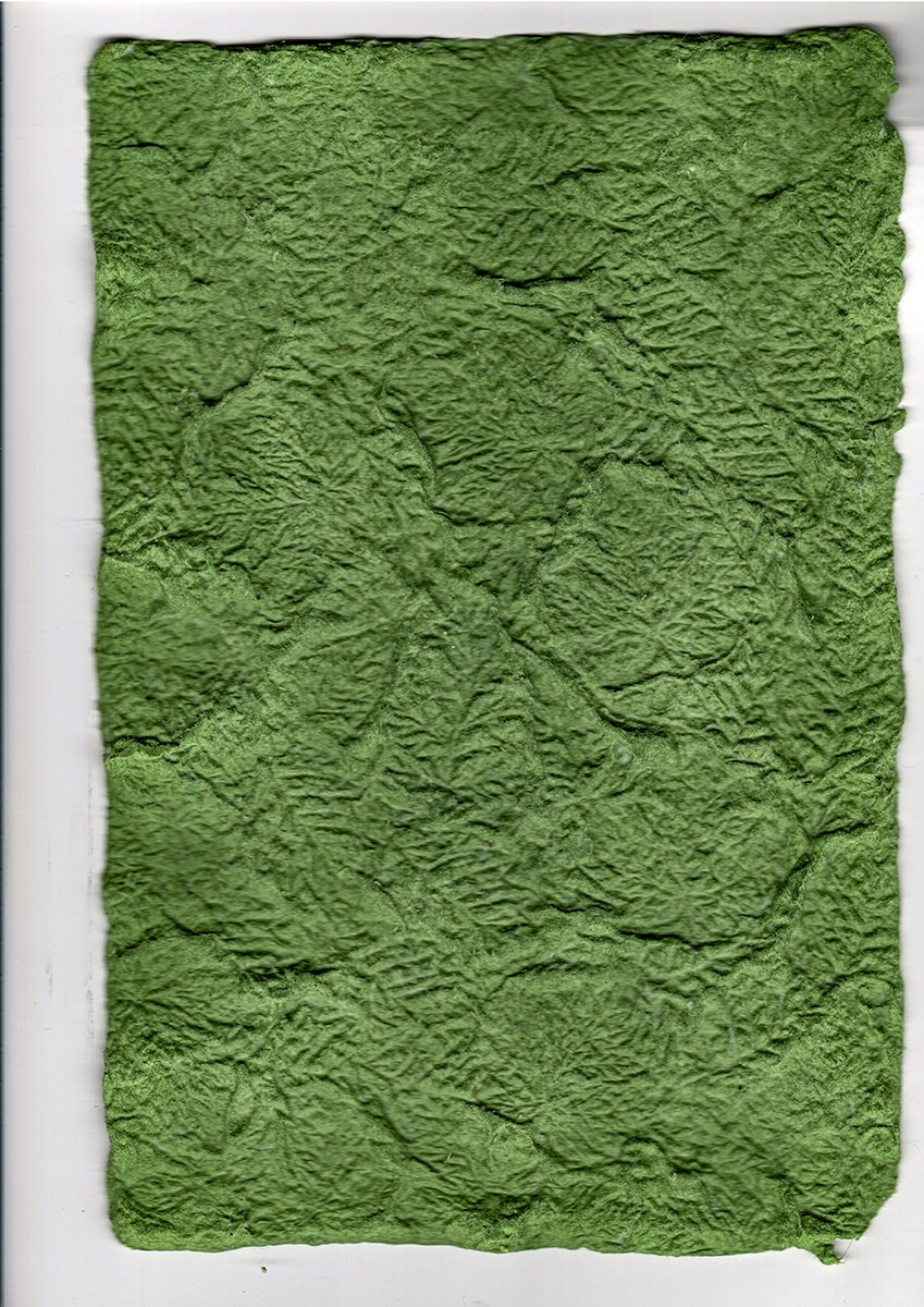 Terra Incognita. Неизвестная земля. Художник Екатерина Старовойтова