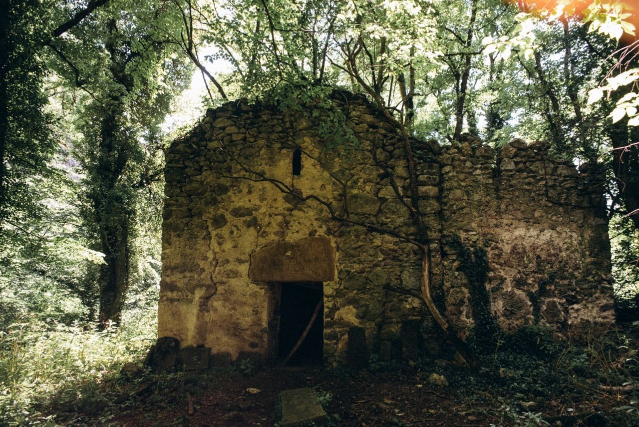 Биртвиси, Грузия 🇬🇪 «Honey Trip». Anita_photo