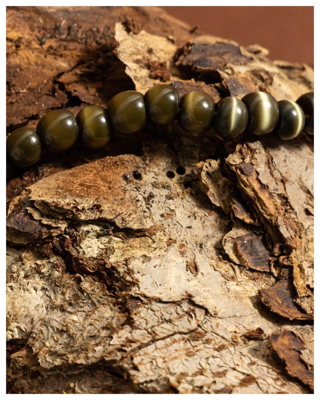 Image shooting. Photographer Anastasia Bondarchuk