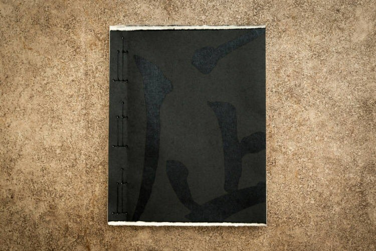 Как форма книги может влиять на концепт?. Самоорганизация Низина