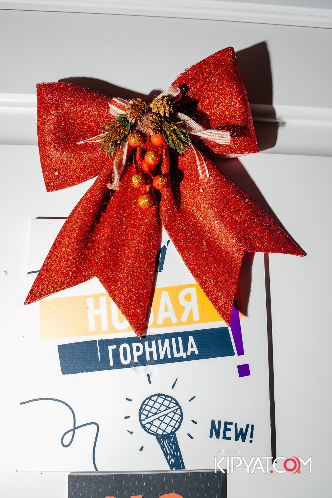 УХО И МЕДВЕДЬ НА КУРМАНГАЗЫ. КИПЯТКОМ АЛМАТЫ!