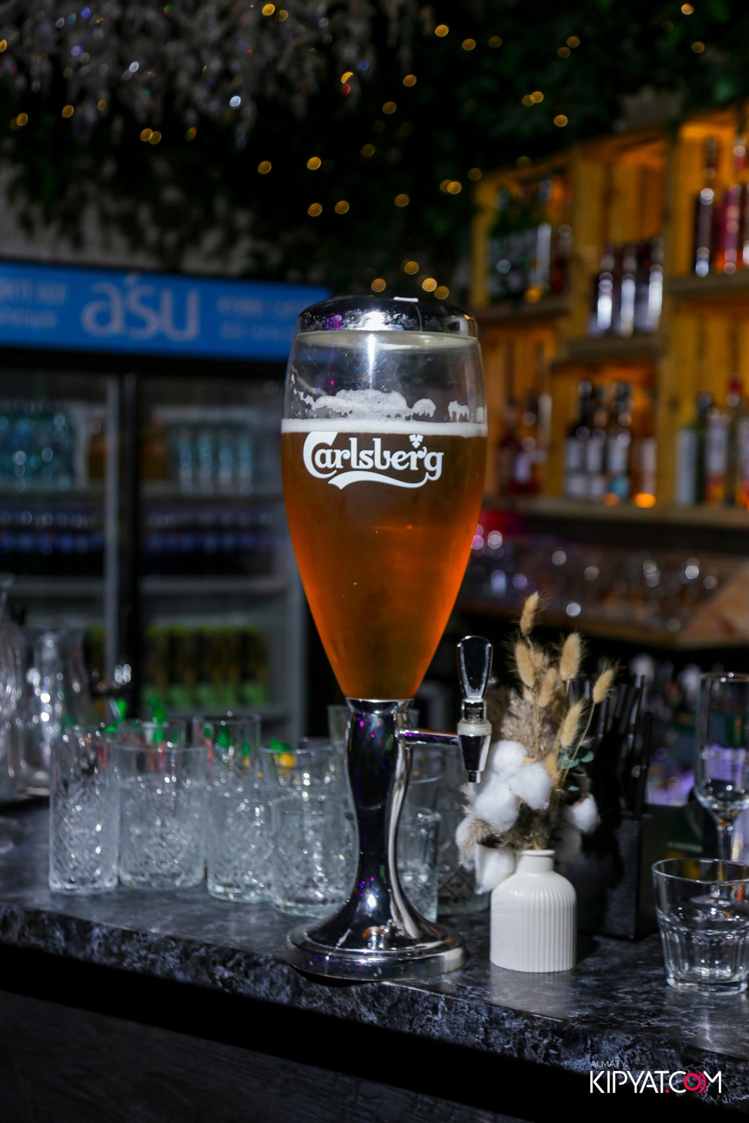 УХО И МЕДВЕДЬ НА САИНА. КИПЯТКОМ АЛМАТЫ!