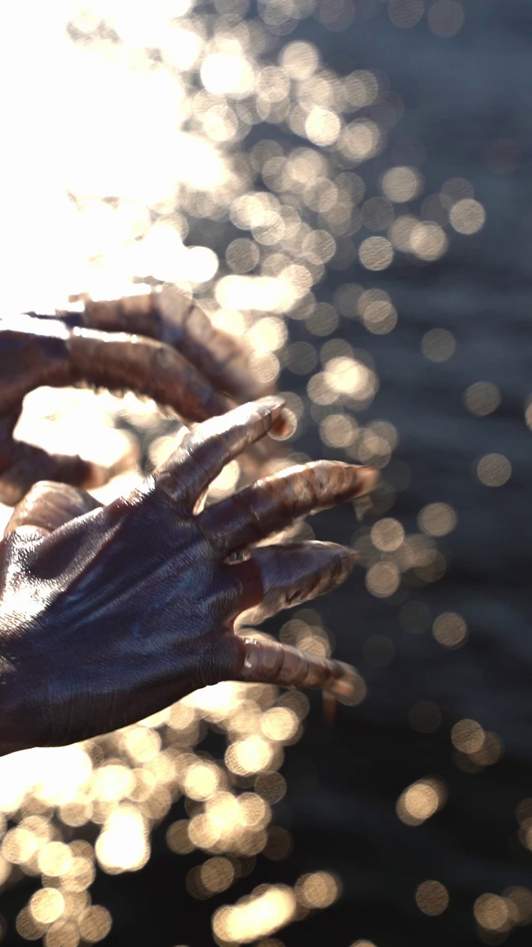 Ногти. Артём Калыхан|Видеограф СПб