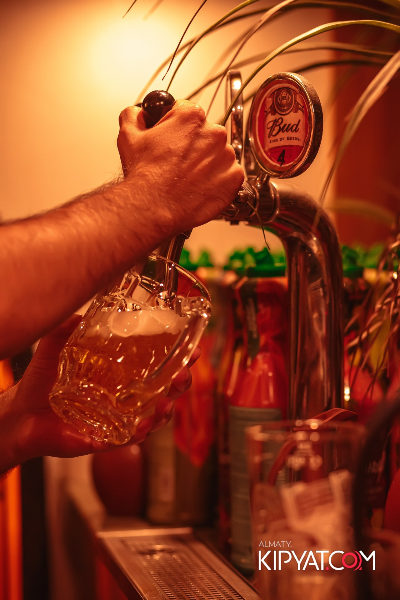 Modi Restobarchik. КИПЯТКОМ АЛМАТЫ!