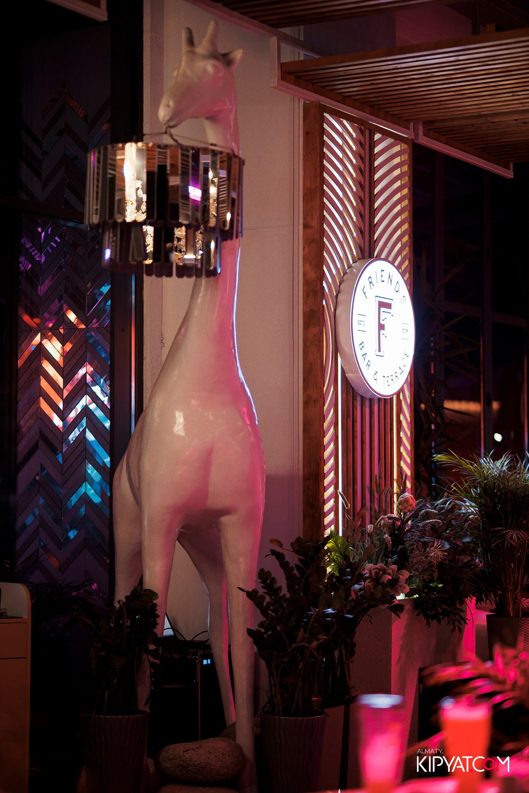 FRIENDS BAR & TERRACE. КИПЯТКОМ АЛМАТЫ!