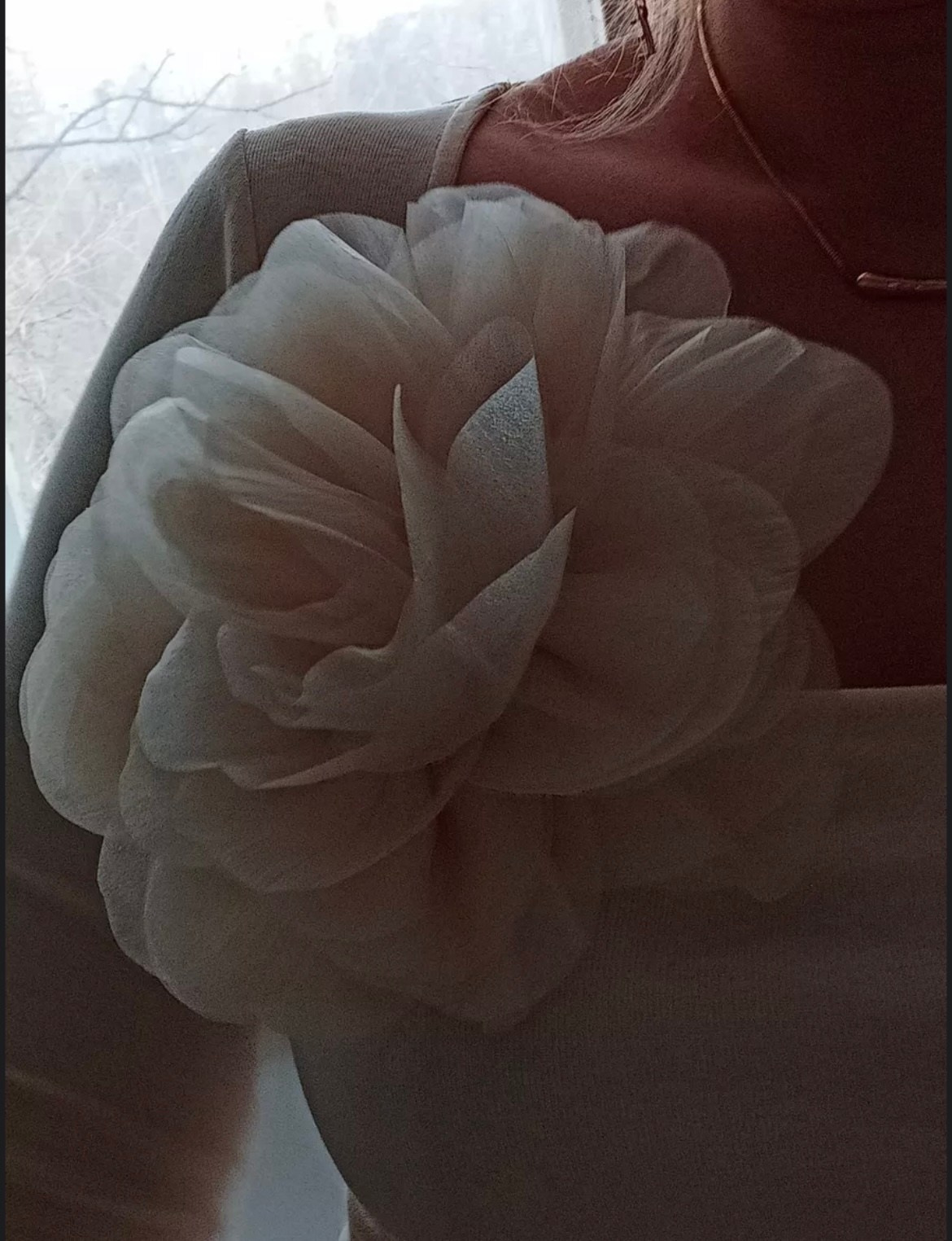 Платья в прокат. Фотограф Санкт-Петербург