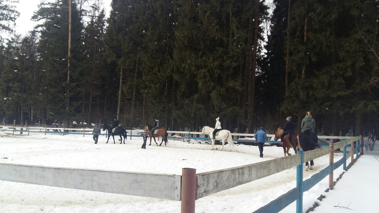 Активные выходные |18-19.02.2017. Галерея Фантим