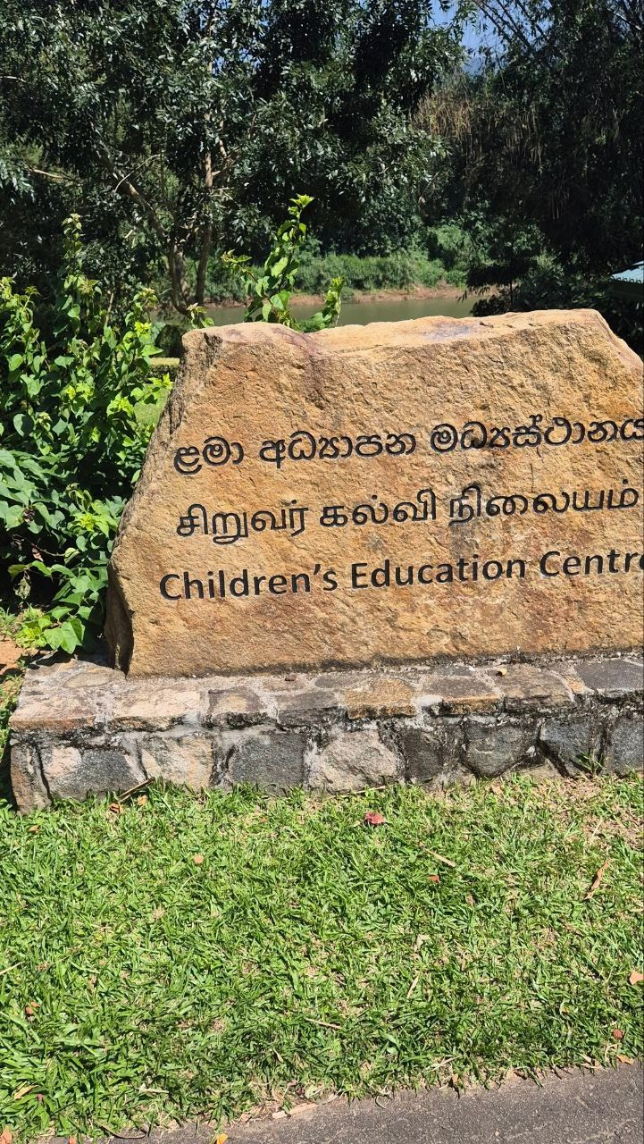 Шри-Ланка | 31.01 — 10.02.2025. Галерея Фантим