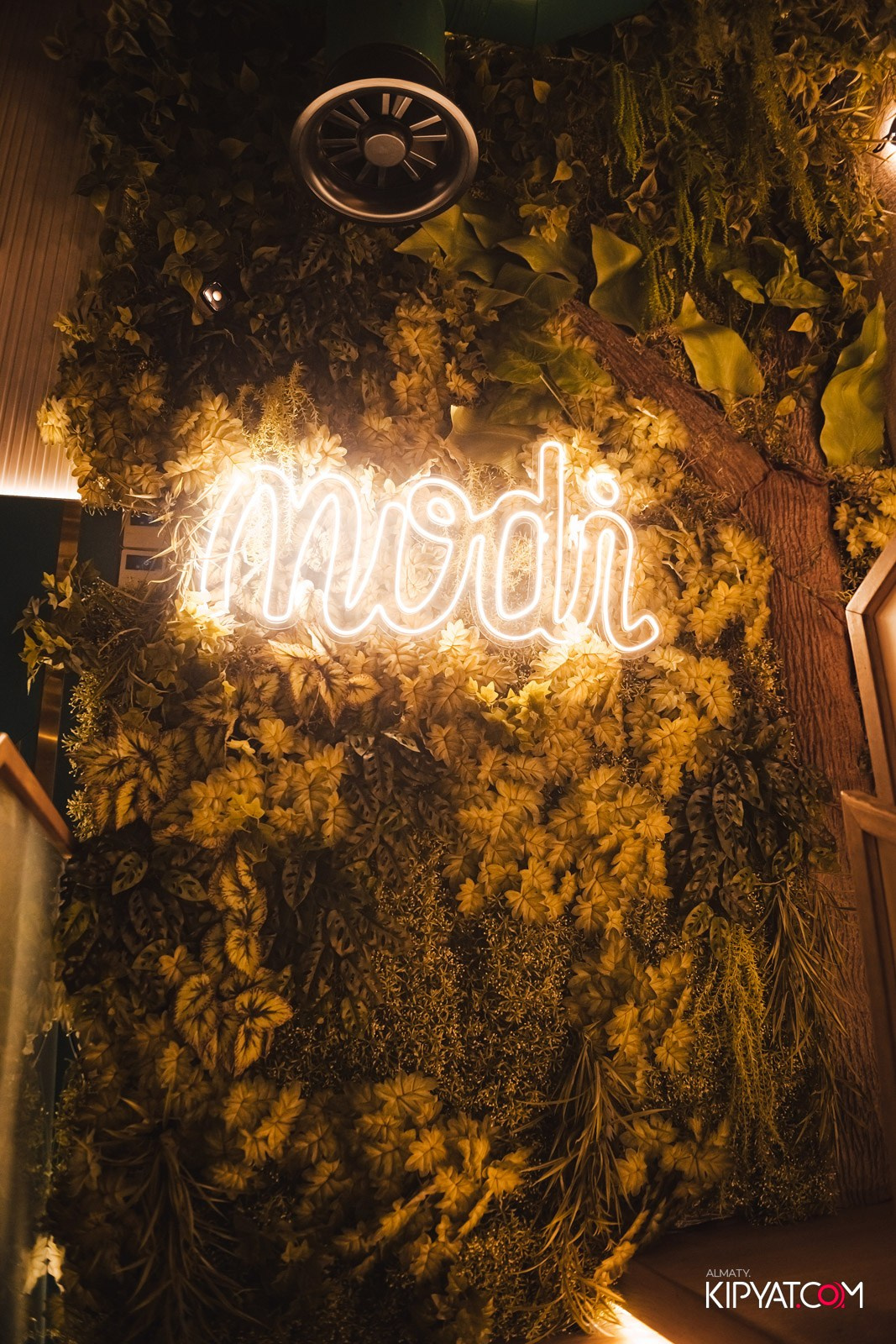 MODI RESTORANCHIK. КИПЯТКОМ АЛМАТЫ!