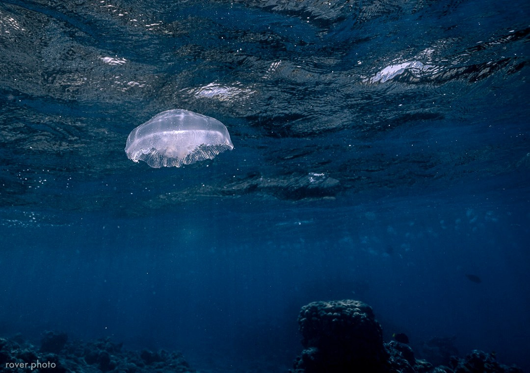 ЯХТЫ / МОРЕ / ПУТЕШЕСТВИЯ. Сложная съёмка для бизнеса b2b / Яхтенный фотограф / Корпоративные календари / Промышленная съёмка / Спортивный репортаж