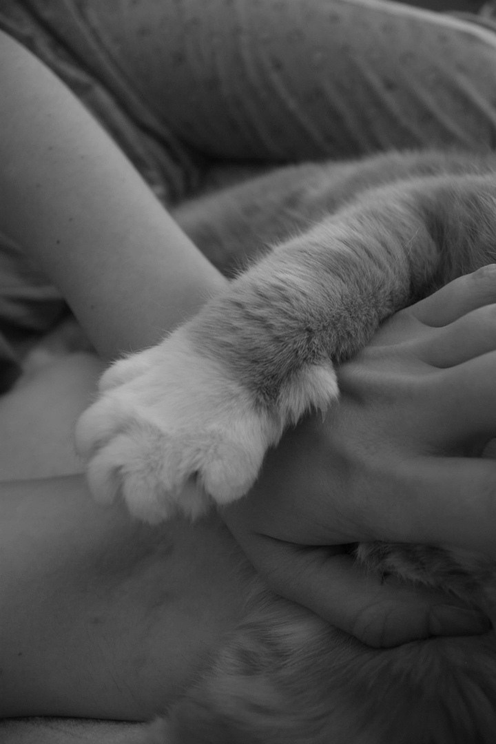 Курсы для школьников 12-17 лет. Photographer for business Mikhail Semenov. Aqua photo studio, photo school