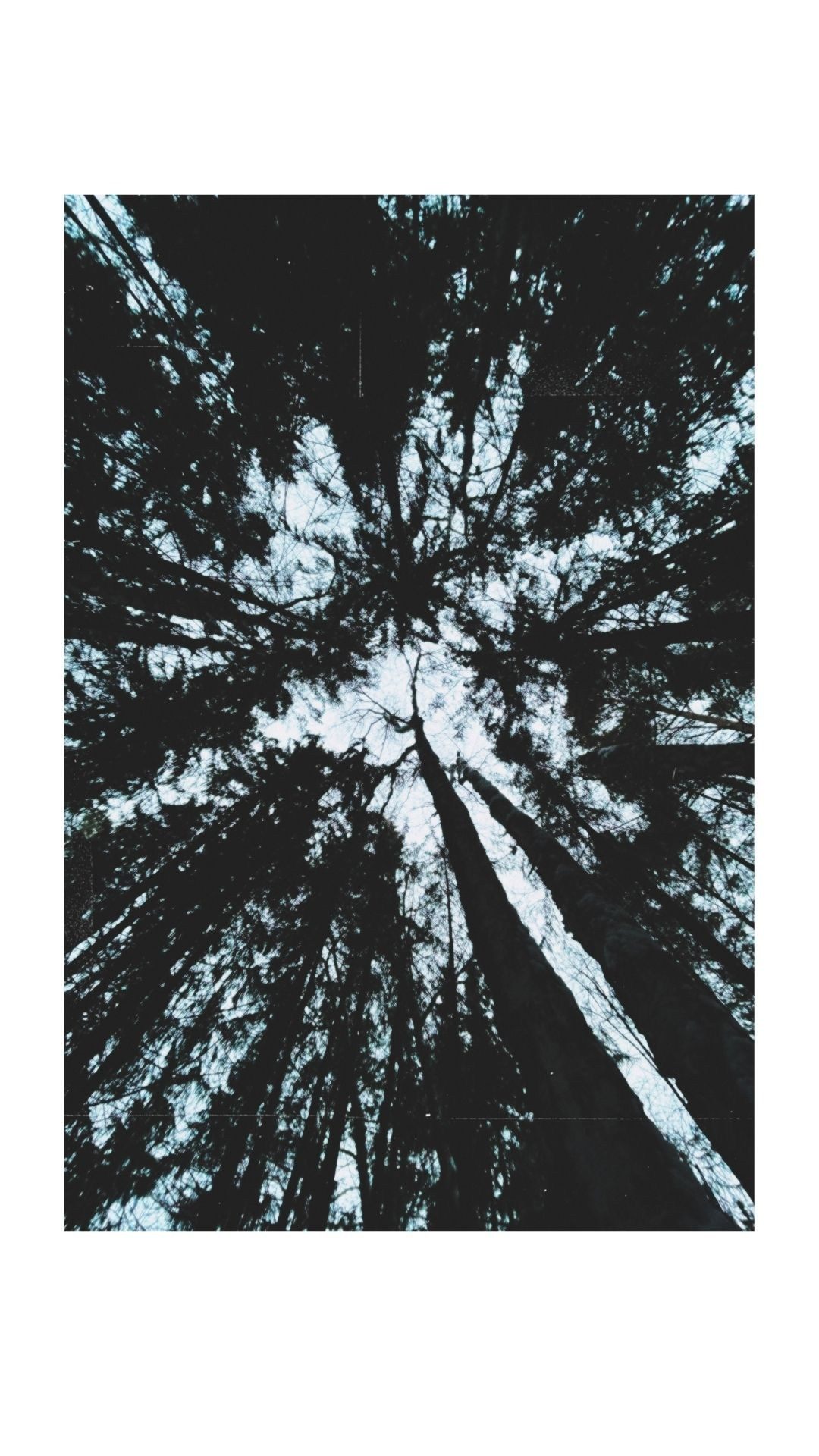 Зима по-сибирски. Главная