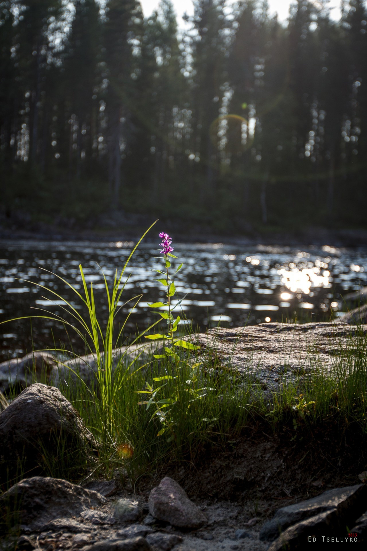 Пейзажи. Свадебный и репортажный фотограф в Москве и Московской области
