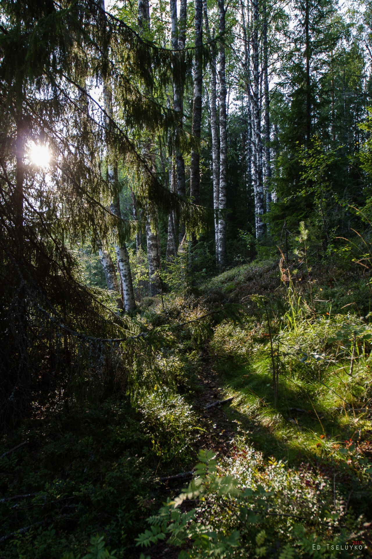 Пейзажи. Свадебный и репортажный фотограф в Москве и Московской области