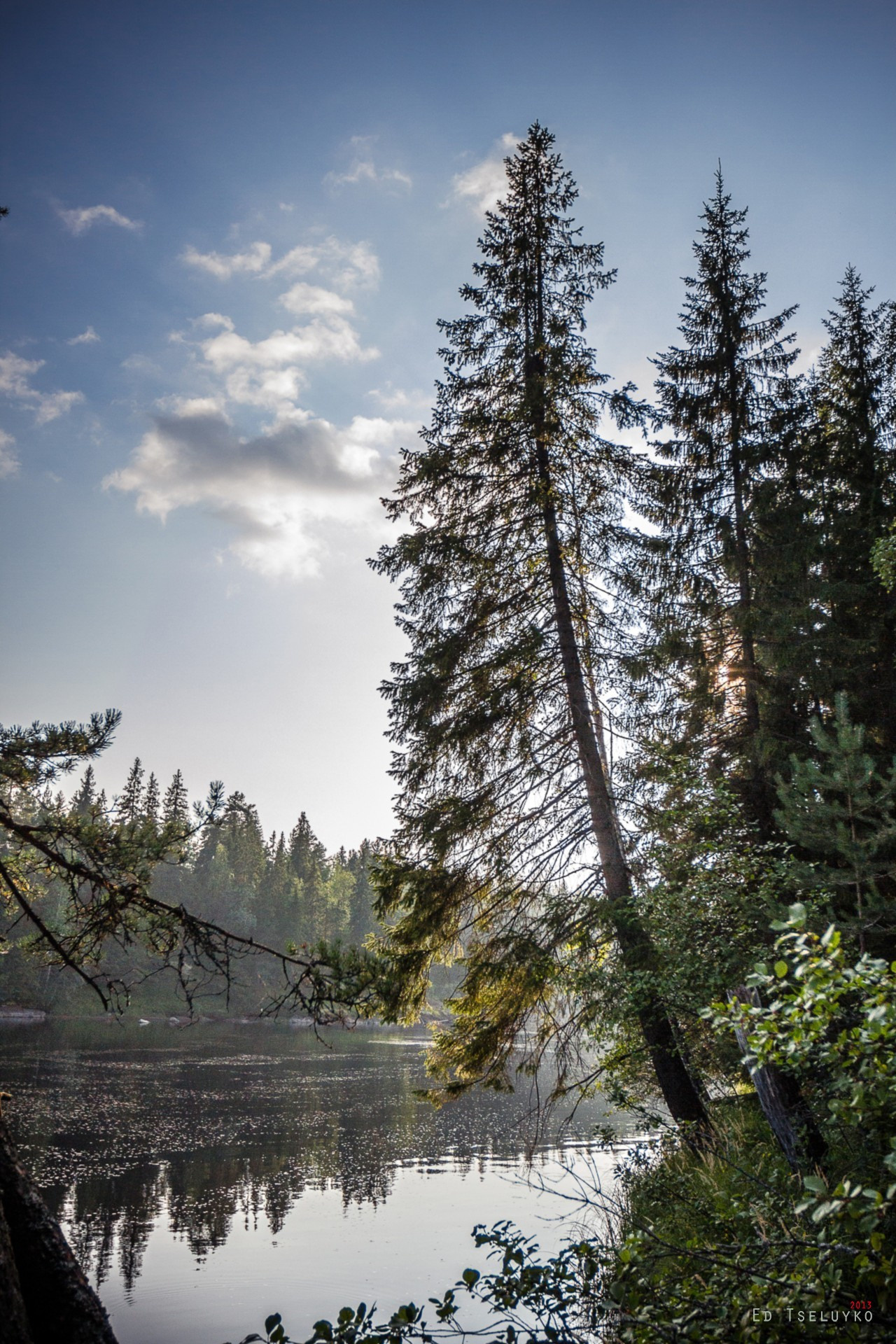 Пейзажи. Свадебный и репортажный фотограф в Москве и Московской области